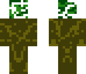 the tree