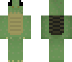 derpy turtle
