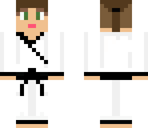 hapkido guy