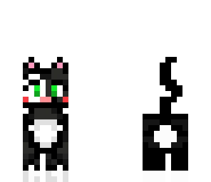 black cat