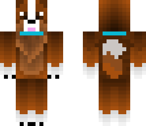 blue colerd dog