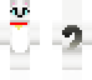 kitty cat