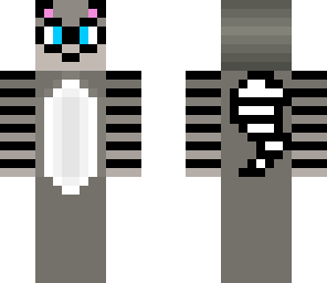 raccoon