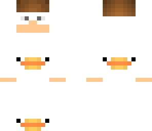 snow duck