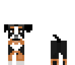 female dog 1