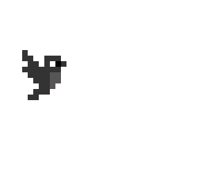 black bird