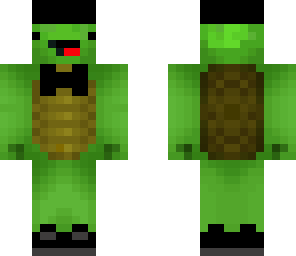 fancy turtle