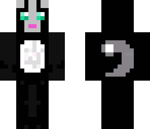 black and white cat