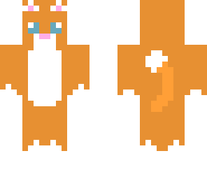 orange cat 2