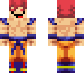 derp super saiyen god goku 
