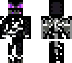 steve killed the enderdragon
