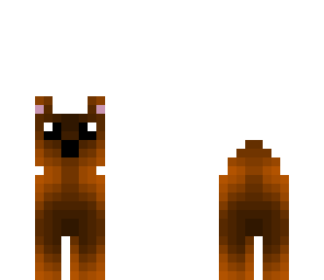 bear