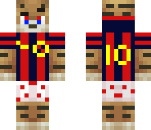 messi cat