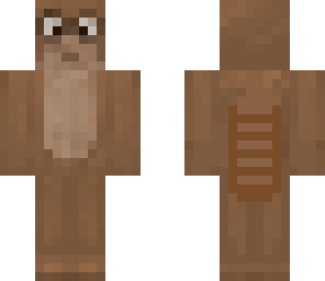 raccoon