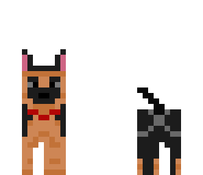 doggy