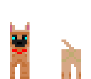 my dog rex