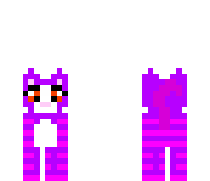 kitten