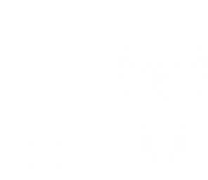 blank