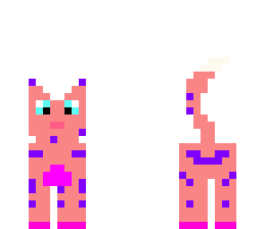 fun cat