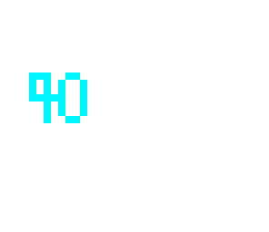 40 followers