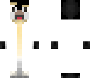dr penguin