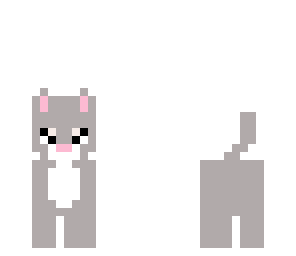 grey kitten
