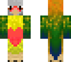 coco the conure