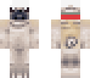 the cool pug12