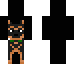 dog overalls