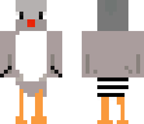 zebra finch