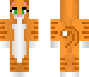 tabby cat