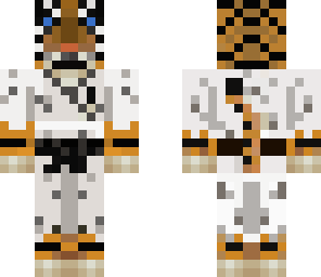 tigre karateka 3
