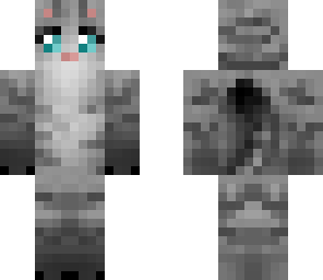 grey cat