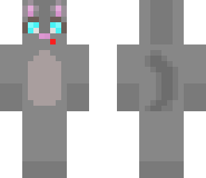 cute tabby cat