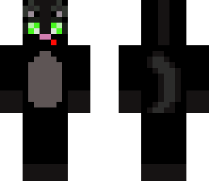 cute black cat