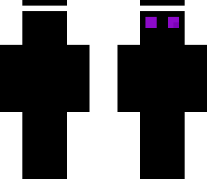 ender ninja