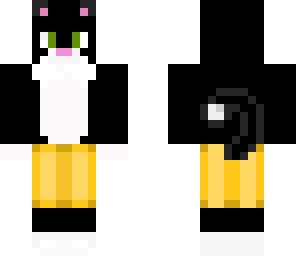 summer cat