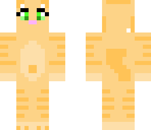 cute tabby