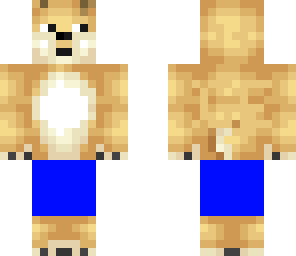 surfer doge