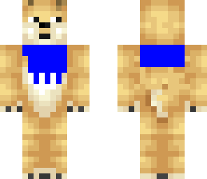 scarf doge