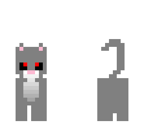 evil cat