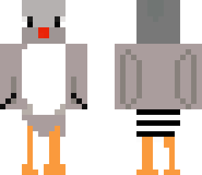 new zebra finch