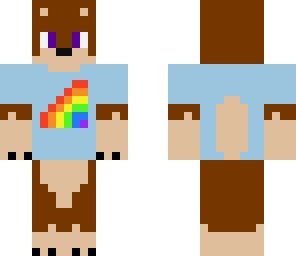 dog in a shirt