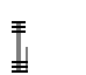 weight