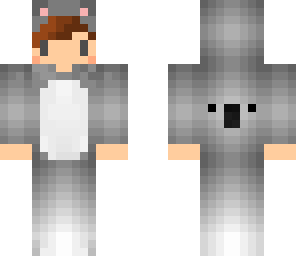 cool koala