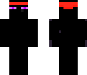 ninja ender