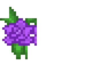 request's