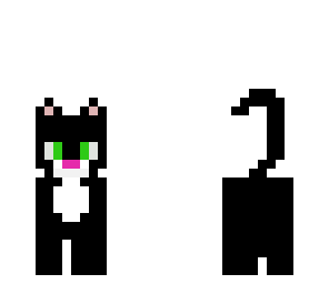 pussi