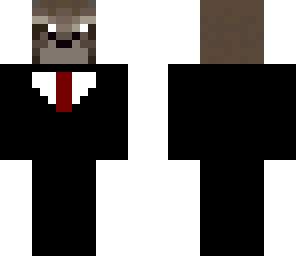 racoon suit