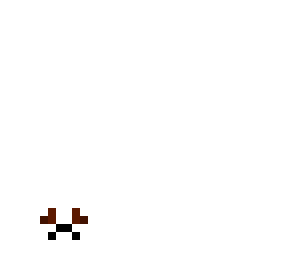 poodle